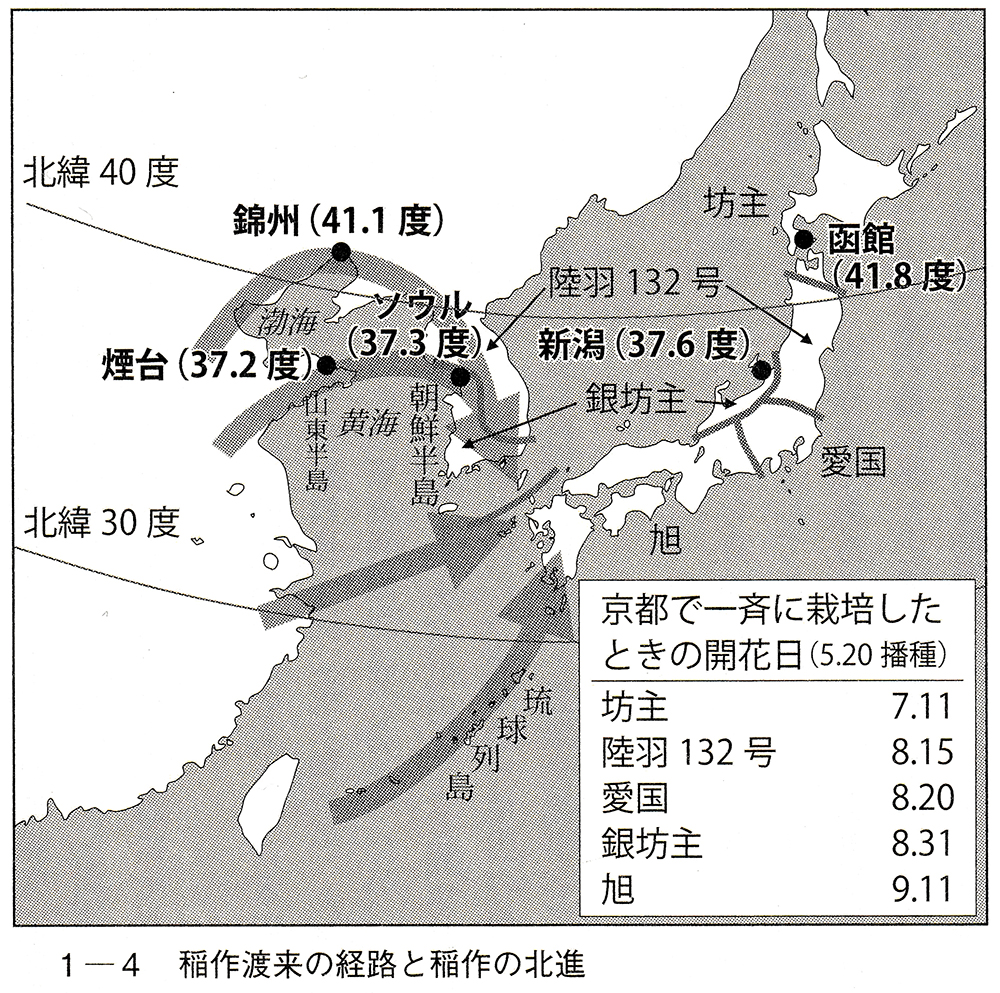 稲作渡来の経路と稲作の北進