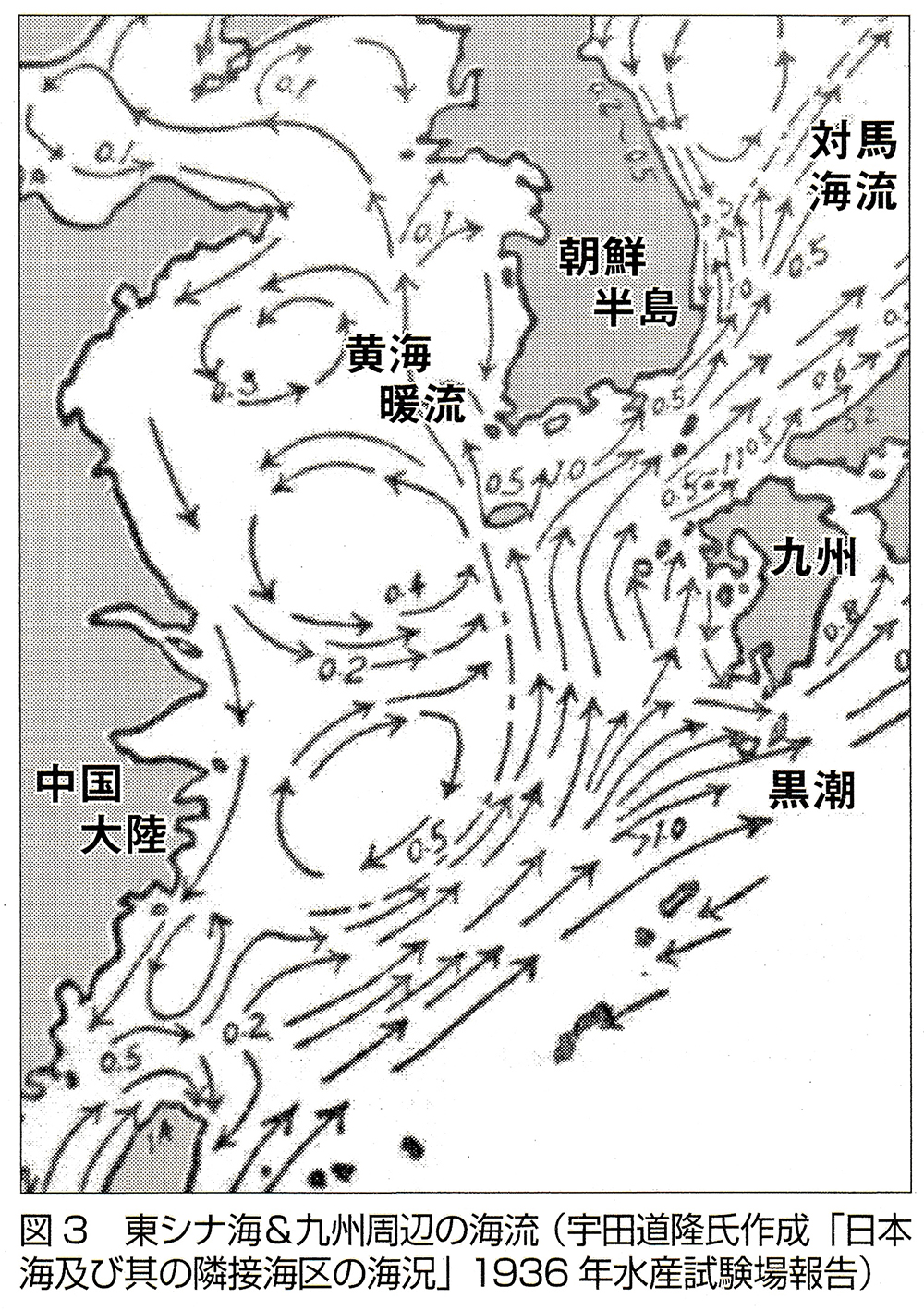 東シナ海&九州付近の海流(1936年)