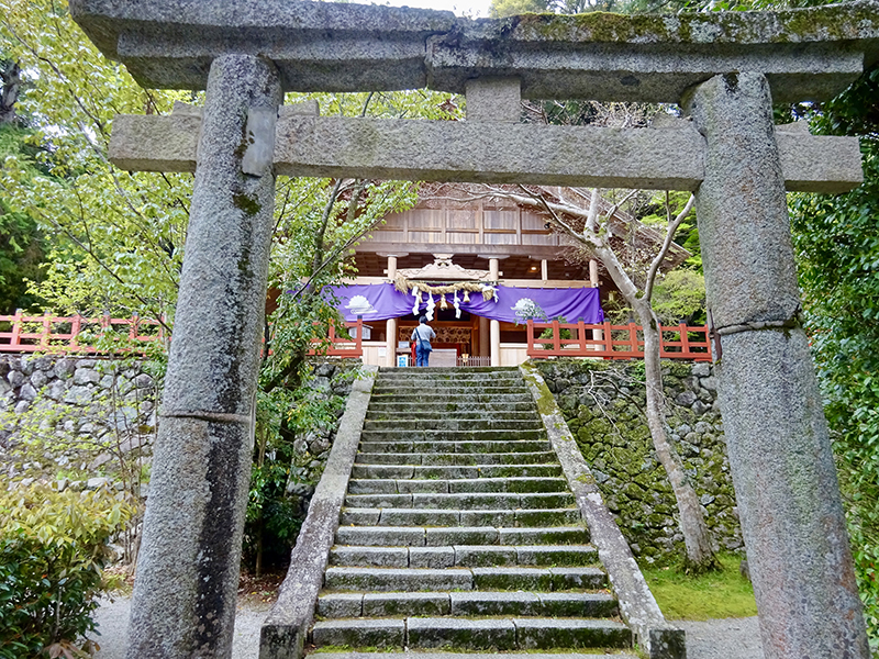 高鴨神社の拝殿