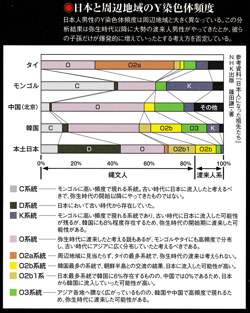 日本と周辺地域のY染色体頻度