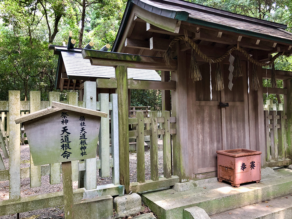 日前宮摂社「天道根神社」