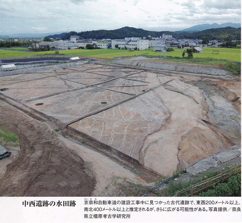 中西遺跡の水田跡