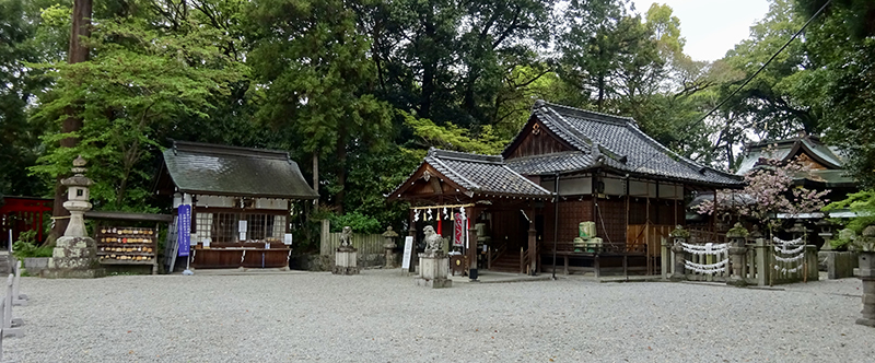鴨都波神社社叢