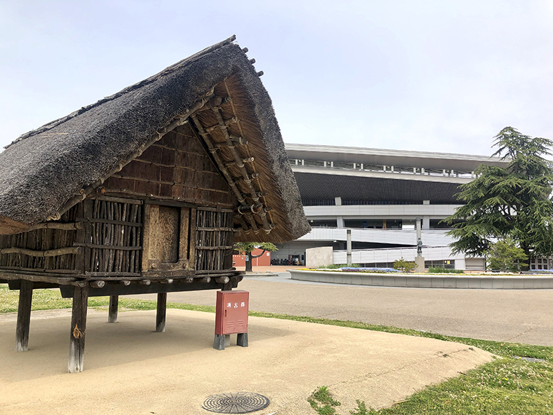 津島遺跡
