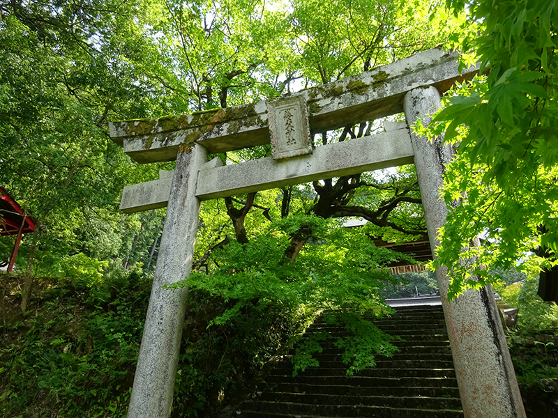 丹波道主命を祀る「養父神社」の鳥居