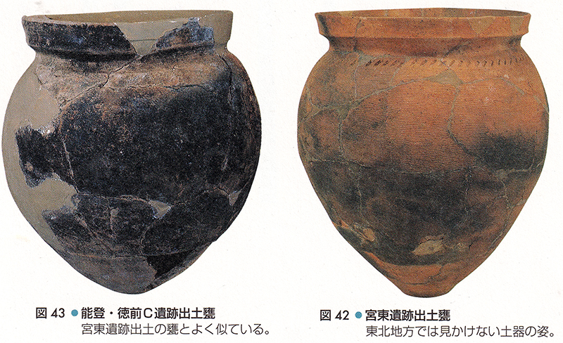 能登・徳前C遺跡出土甕と会津・宮東遺跡出土甕の比較