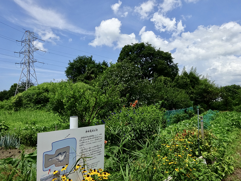 神郷亀塚古墳