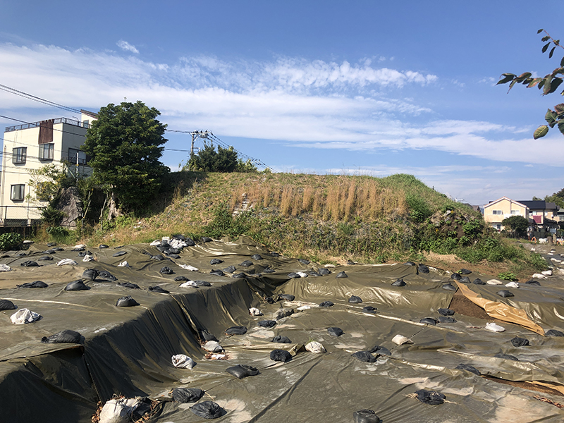 高尾山古墳の墳丘