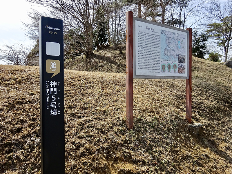 市原市の「神門5号墳」