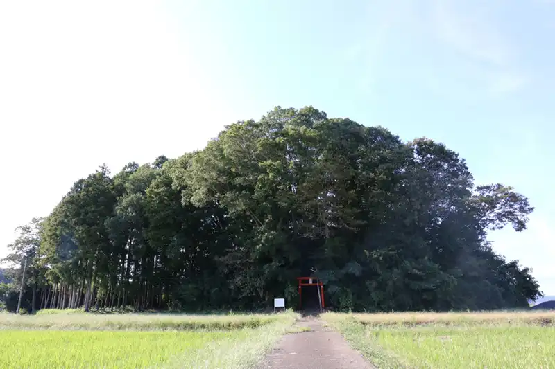 「星神社古墳」茨城県教育委員会