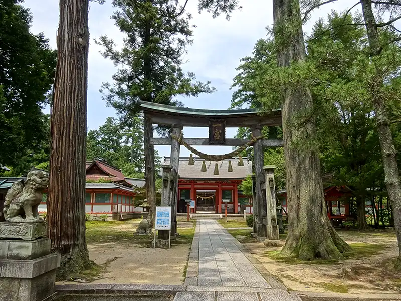 天日槍を祀る「出石神社」の社叢