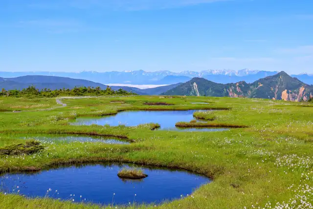 湿地のイメージ
