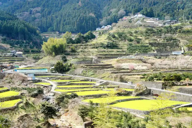 神山町　写真AC