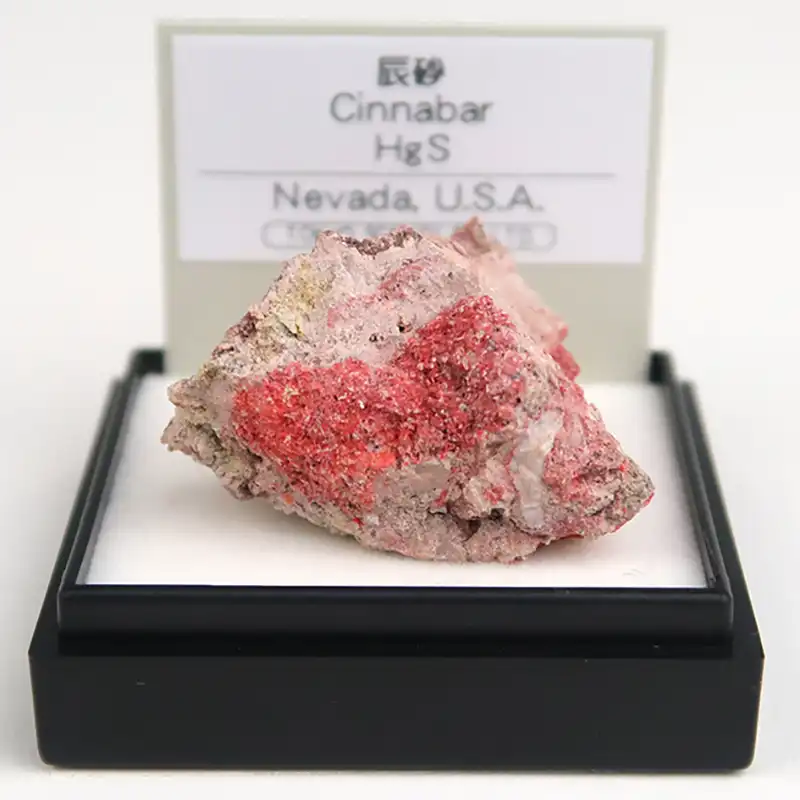 「辰砂」東京サイエンス