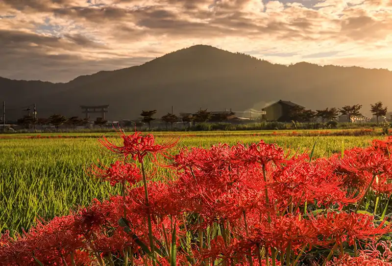 三輪山　写真AC