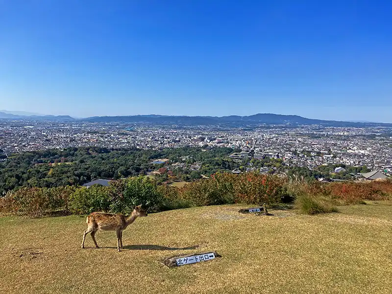 奈良市の風景 写真AC