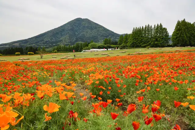 夷守岳 写真AC